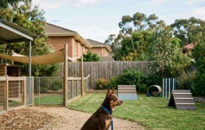 When Should You Choose Stay-and-Train Dog Training Stay-and-train dog training at a residential training facility